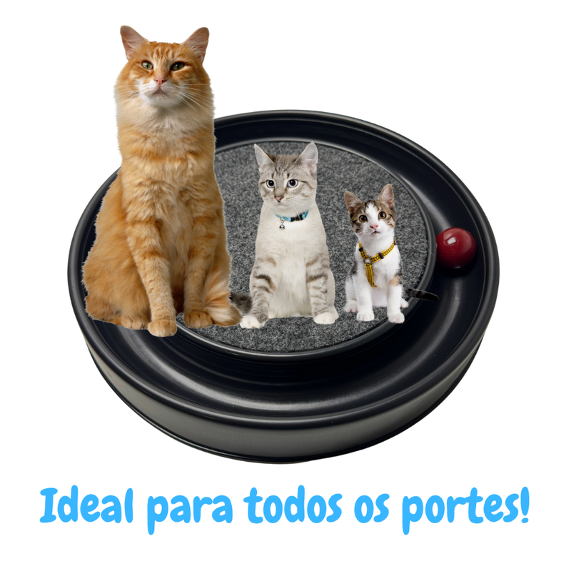 Arranhador Redondo Para Gato Relax Com Bolinha Miau