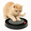 Arranhador Redondo Para Gato Relax Com Bolinha Miau