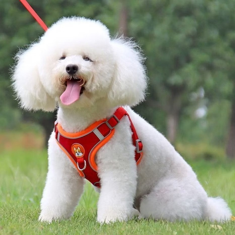 Coleira Peitoral Cachorro E Gato, Conjunto De Guia + Coleira Tipo Colete Para Pet Pequenos E Médios